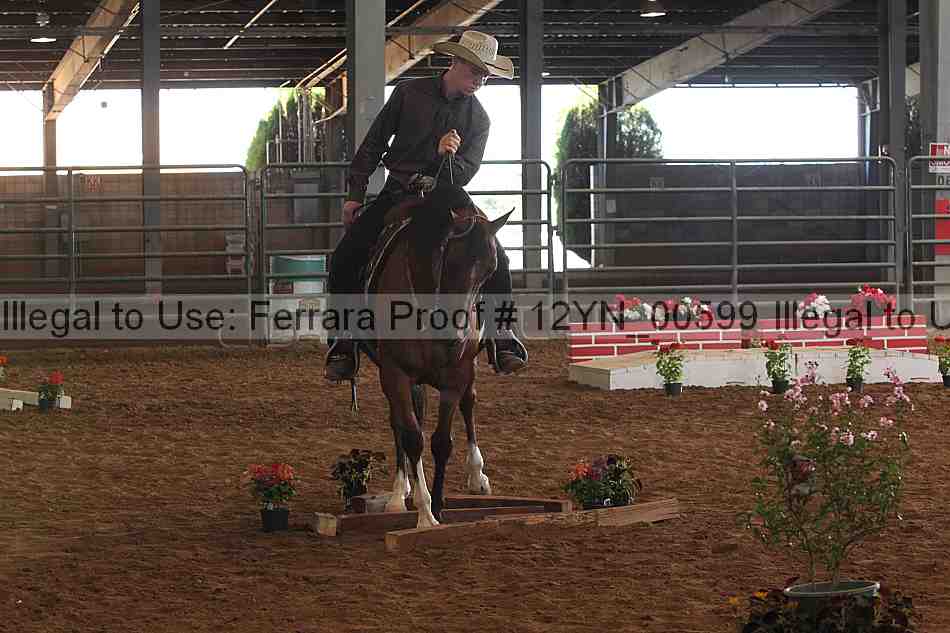 Proof 12yn_00599
