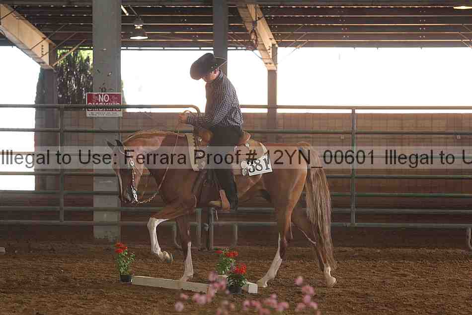 Proof 12yn_00601