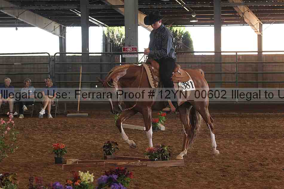 Proof 12yn_00602