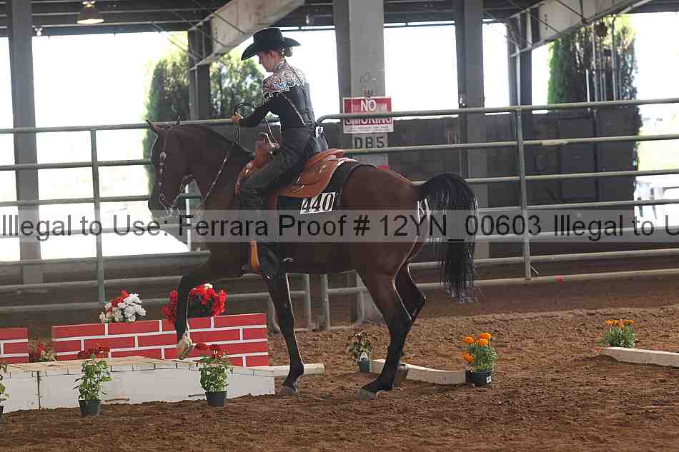 Proof 12yn_00603