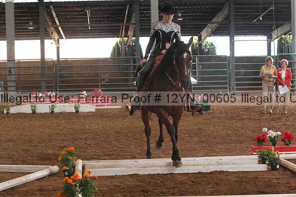 Proof 12yn_00605