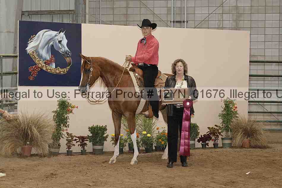 Proof 12yn_01676