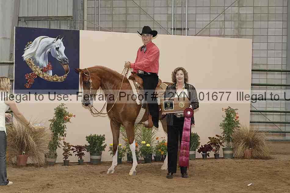 Proof 12yn_01677