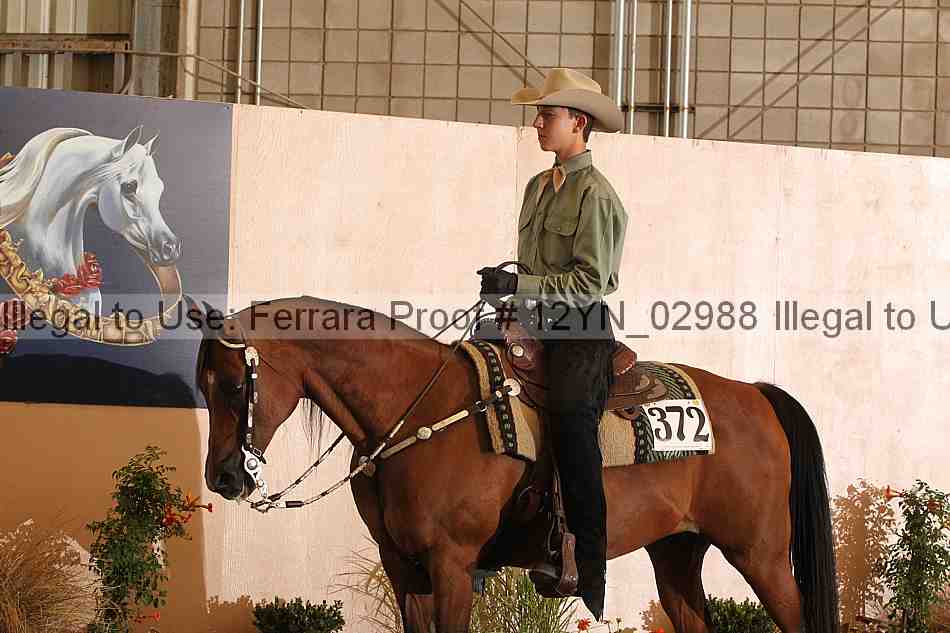 Proof 12yn_02988