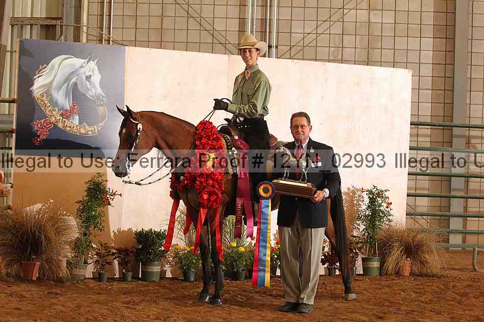 Proof 12yn_02993