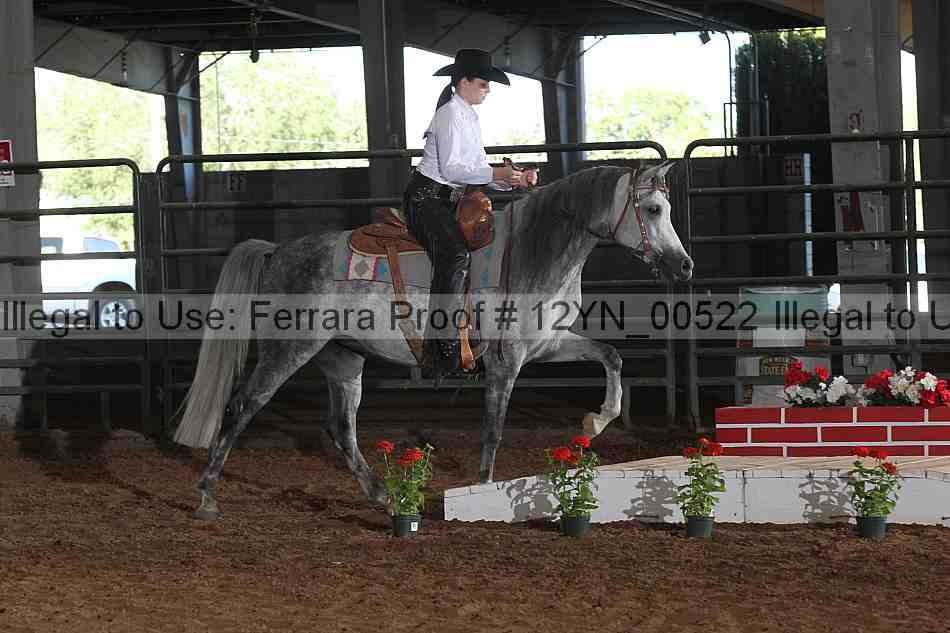 Proof 12yn_00522