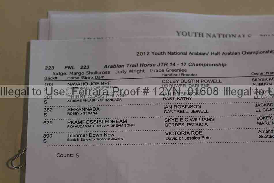 Proof 12yn_01608