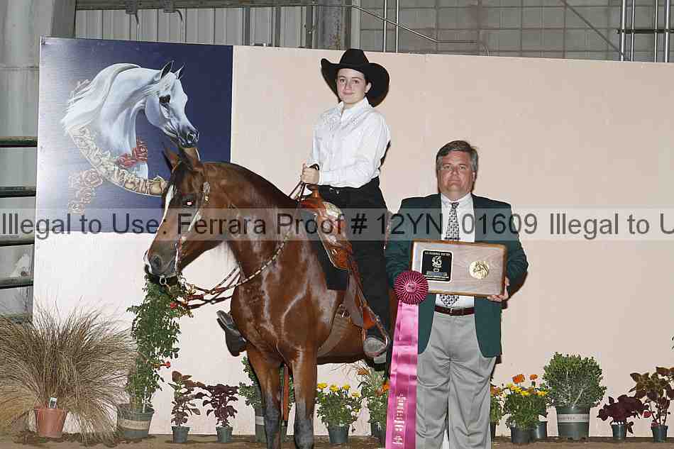 Proof 12yn_01609