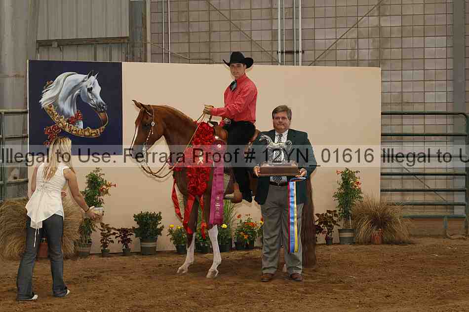 Proof 12yn_01616