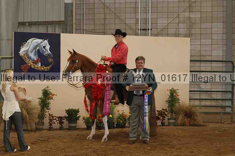 Proof 12yn_01617