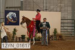 12yn_01617 proof