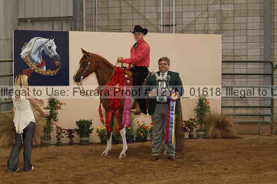 Proof 12yn_01618