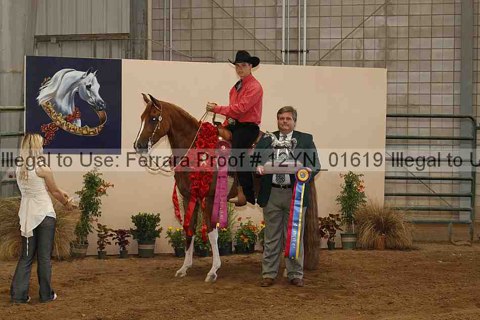Proof 12yn_01619