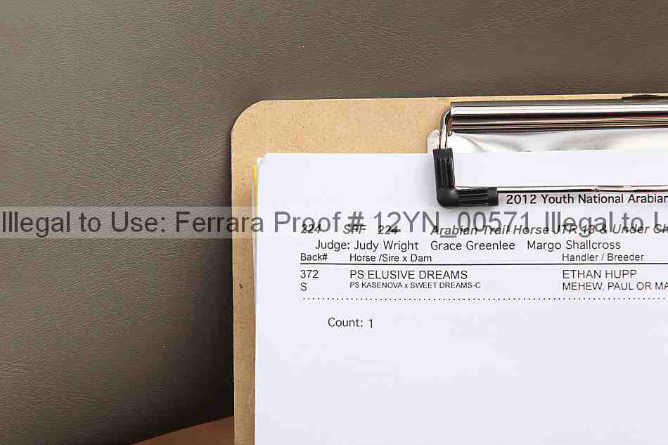 Proof 12yn_00571