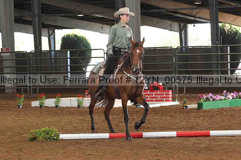Proof 12yn_00575