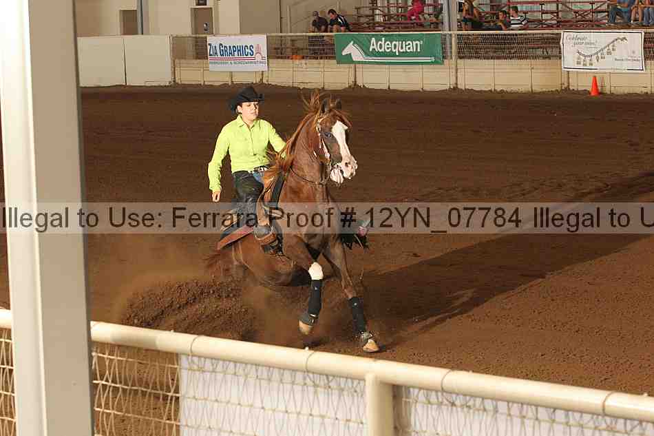 Proof 12yn_07784