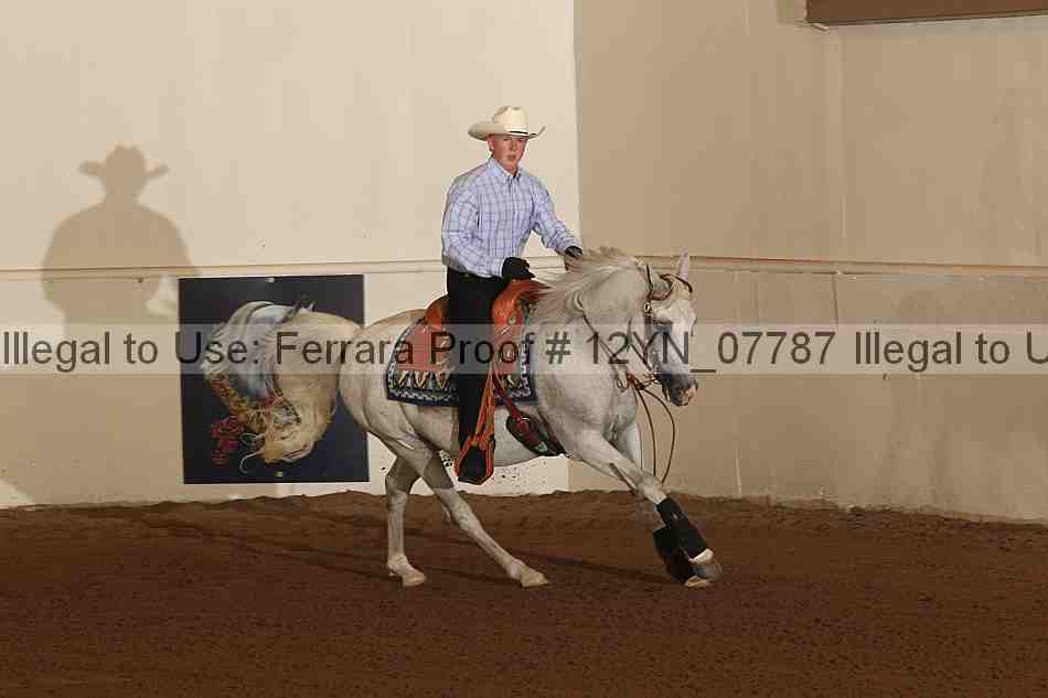 Proof 12yn_07787