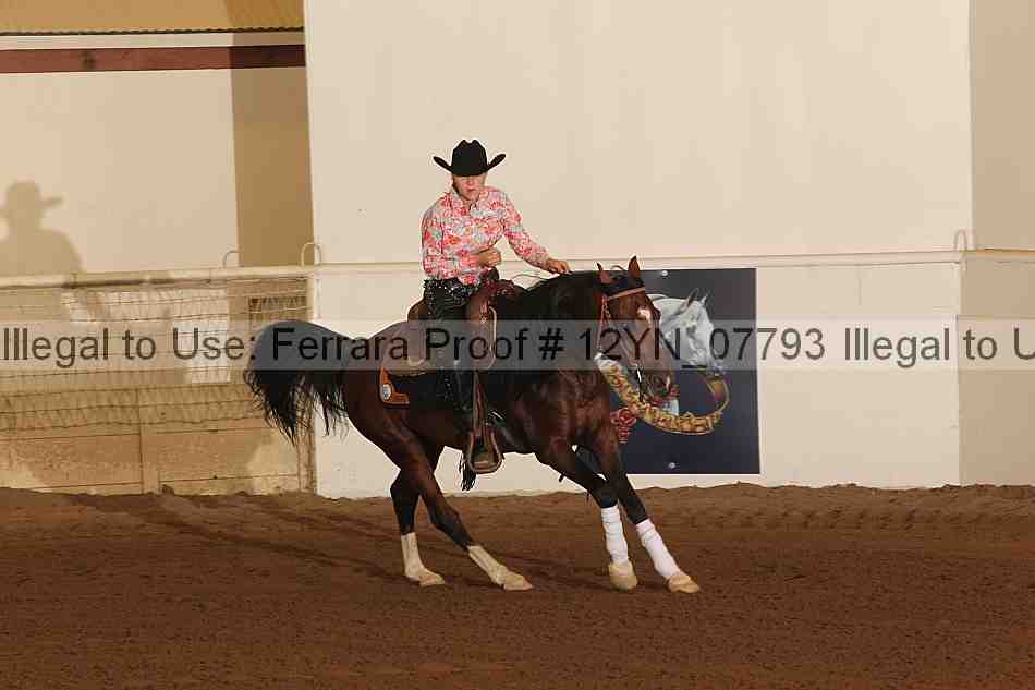 Proof 12yn_07793