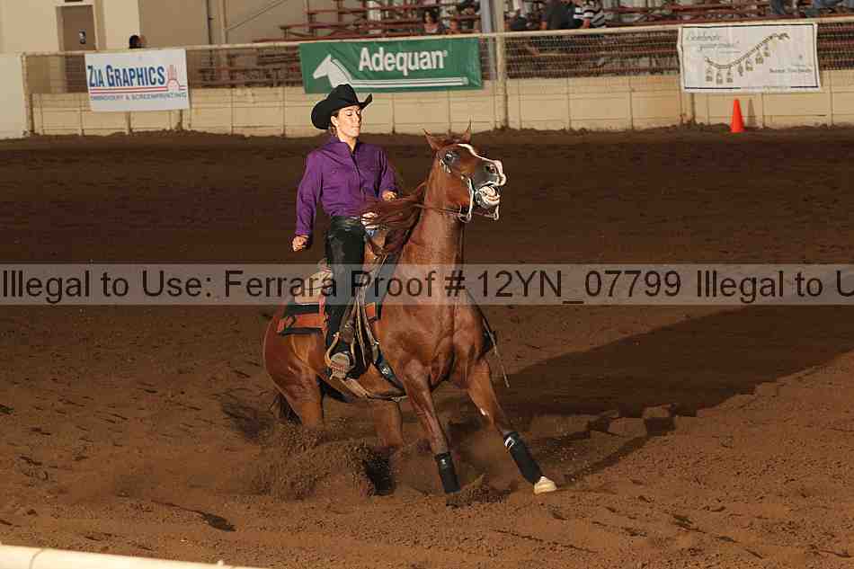 Proof 12yn_07799
