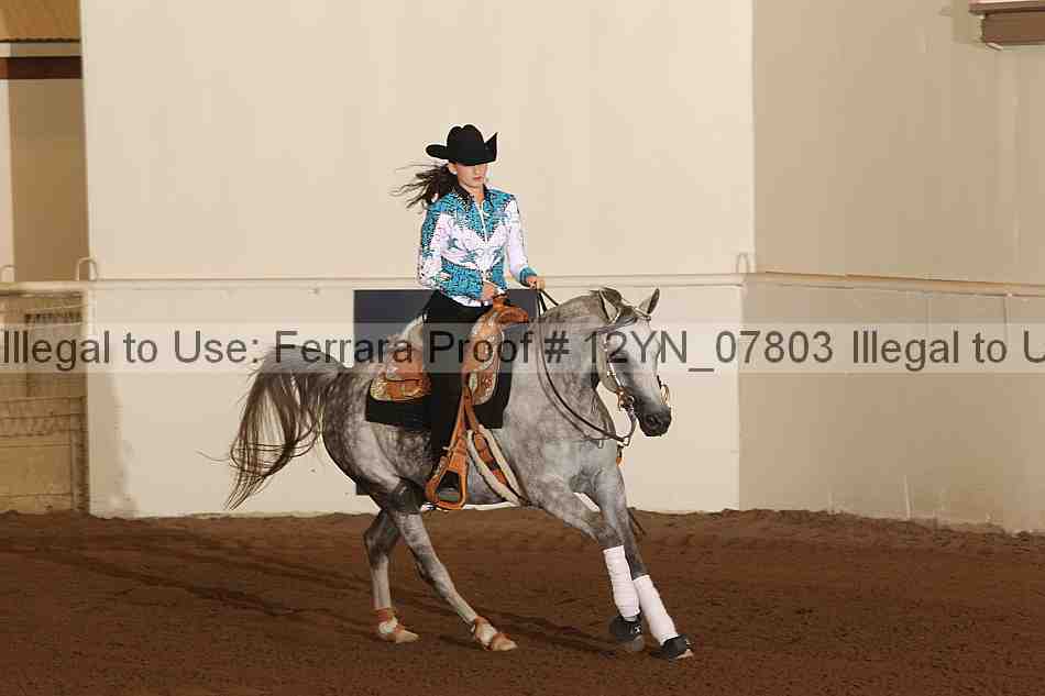 Proof 12yn_07803
