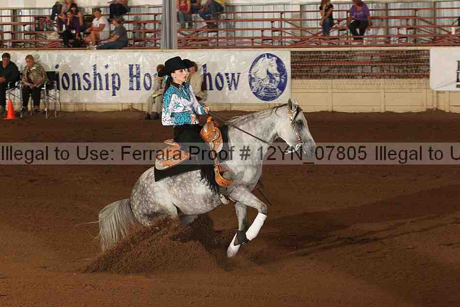 Proof 12yn_07805