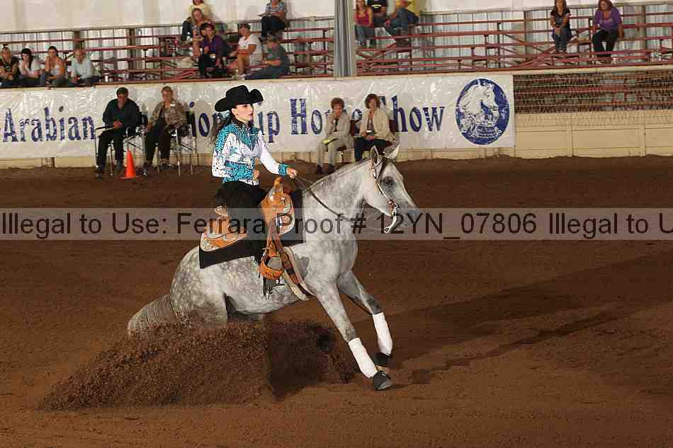 Proof 12yn_07806