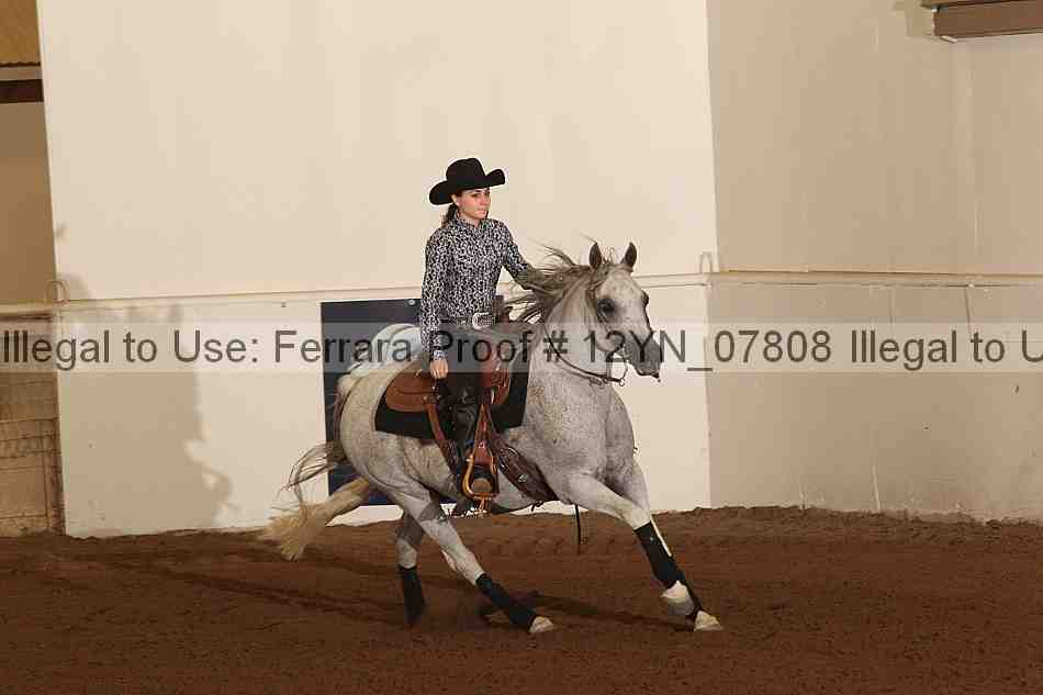 Proof 12yn_07808