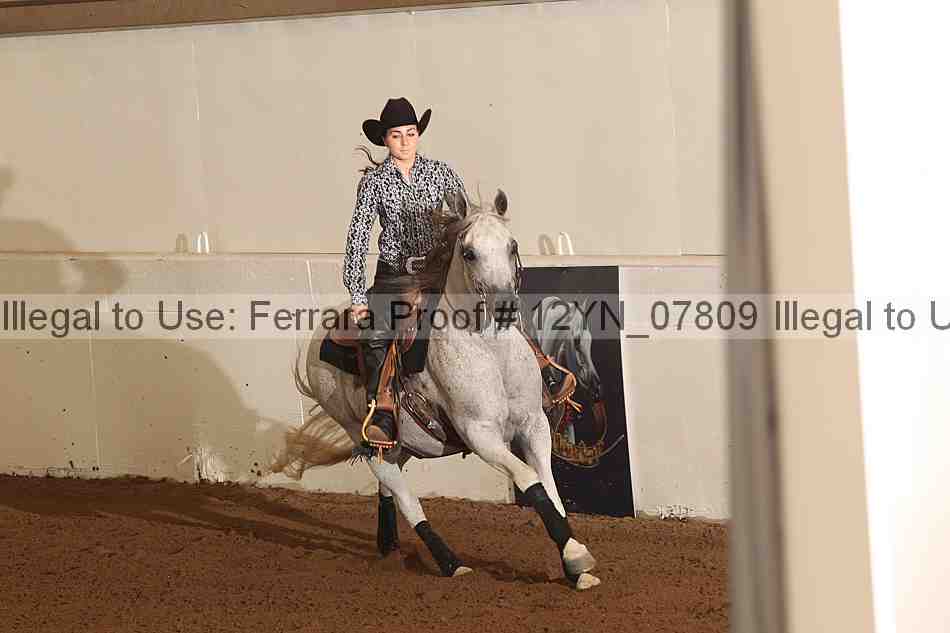 Proof 12yn_07809