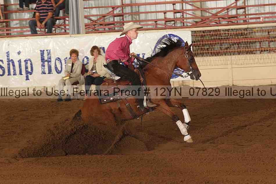 Proof 12yn_07829