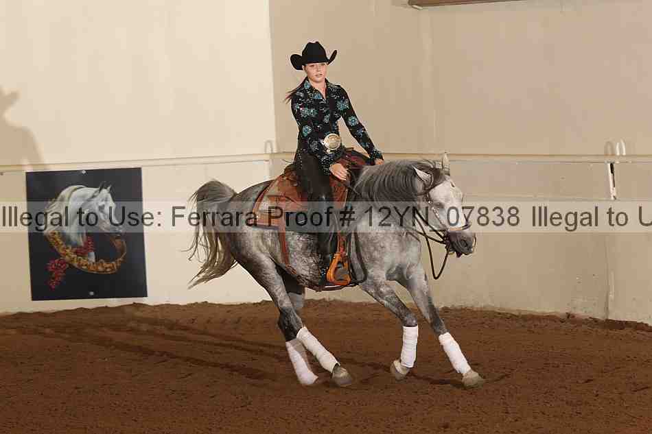 Proof 12yn_07838