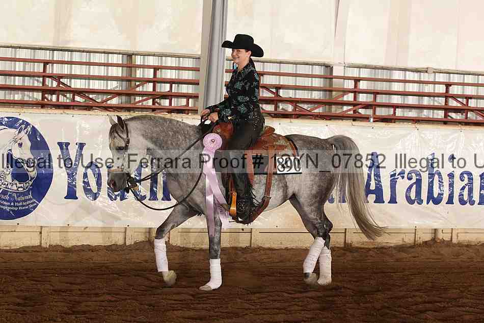 Proof 12yn_07852