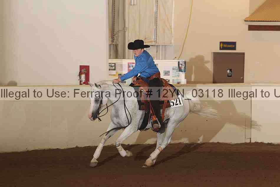 Proof 12yn_03118