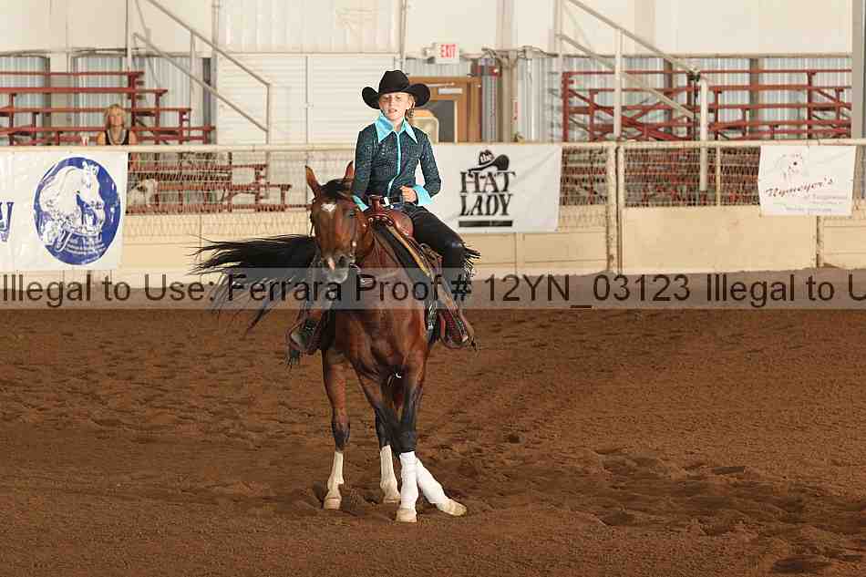 Proof 12yn_03123