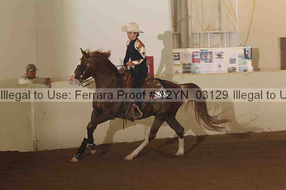 Proof 12yn_03129