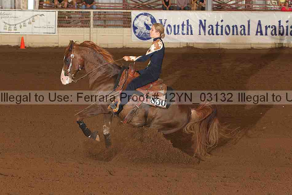 Proof 12yn_03132