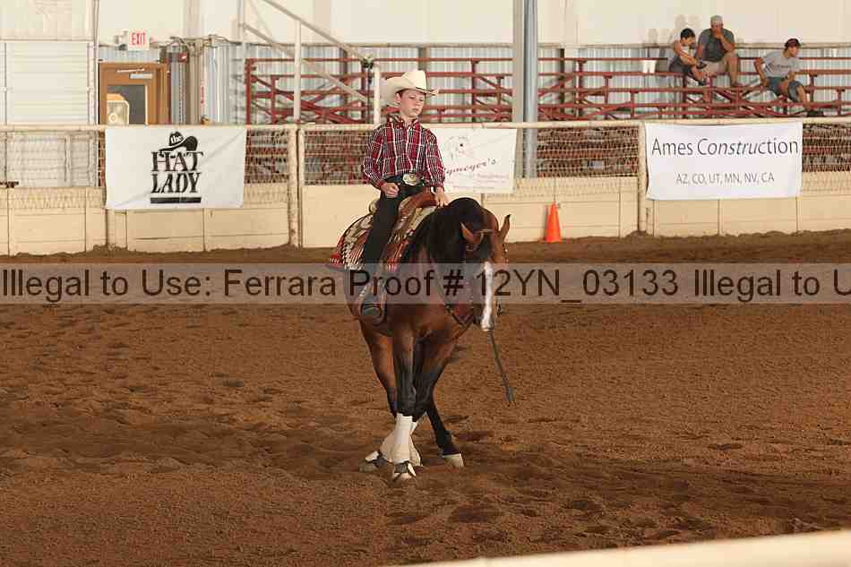 Proof 12yn_03133