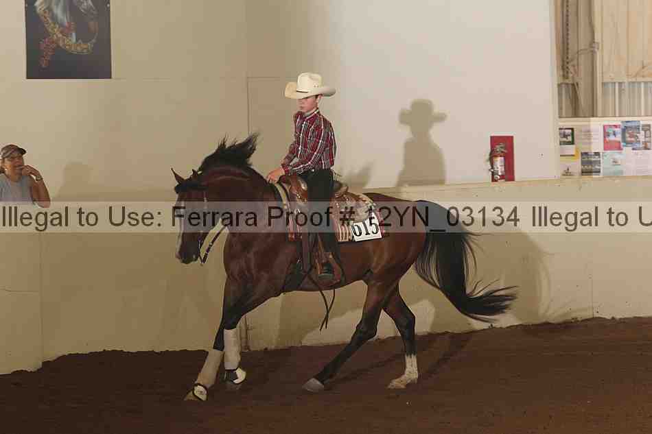 Proof 12yn_03134