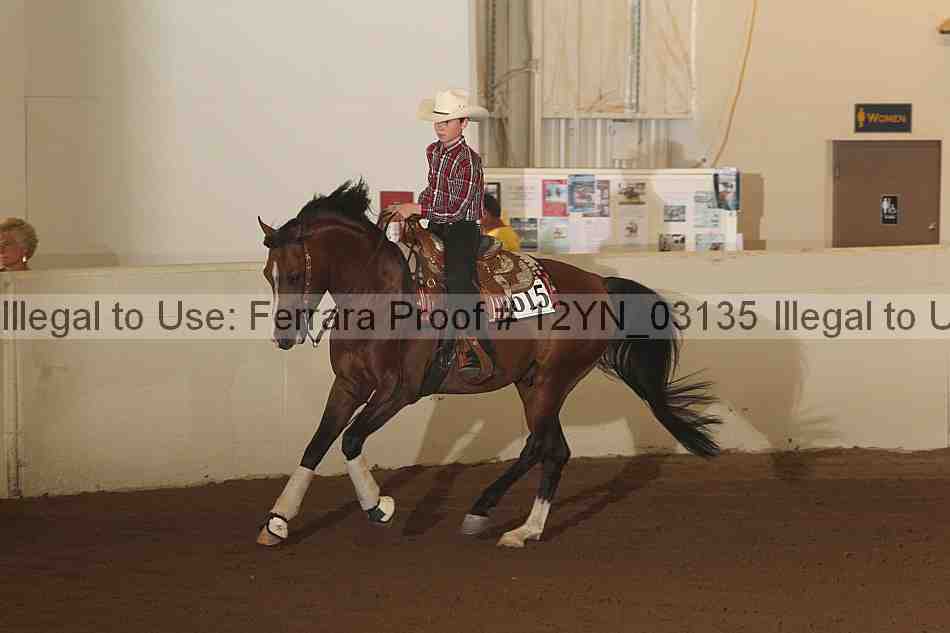 Proof 12yn_03135