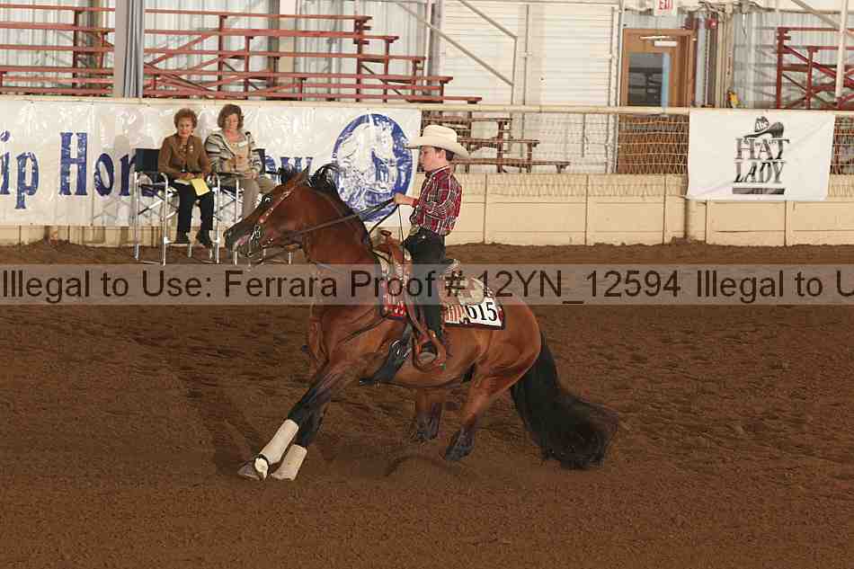 Proof 12yn_12594