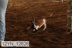 12yn_12626 proof
