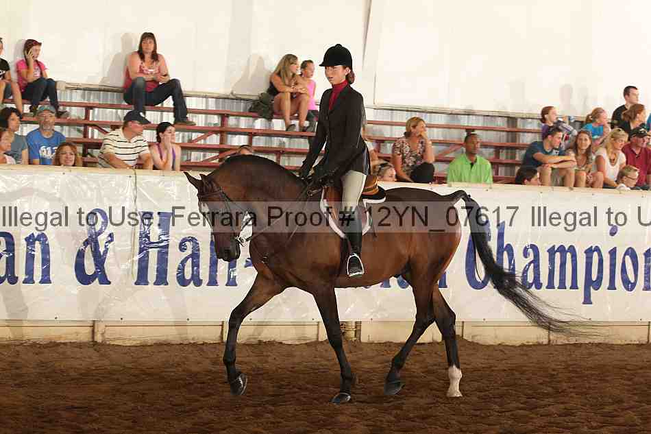 Proof 12yn_07617