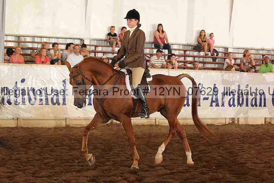 Proof 12yn_07629