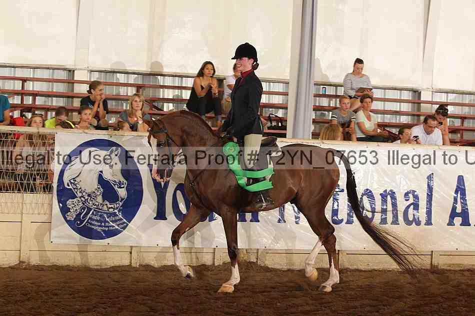 Proof 12yn_07653