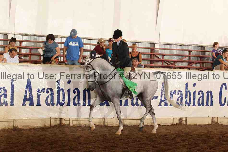 Proof 12yn_07655