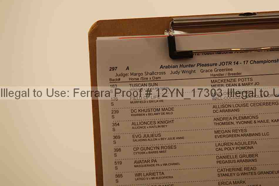 Proof 12yn_17303