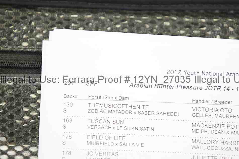 Proof 12yn_27035