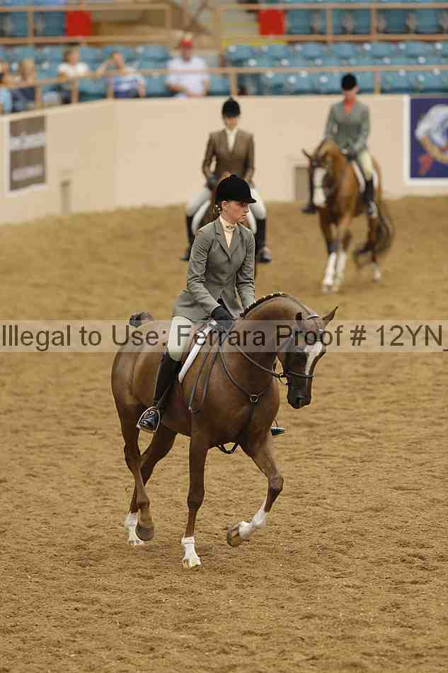 Proof 12yn_27062