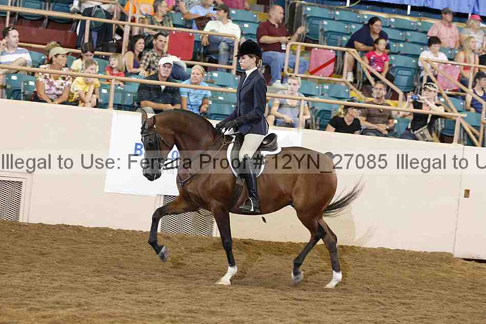 Proof 12yn_27085