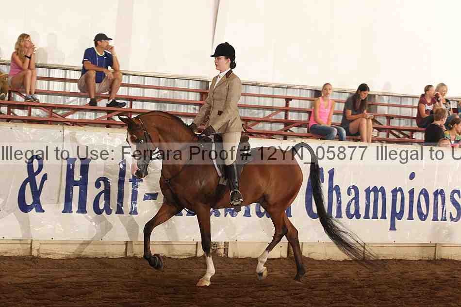 Proof 12yn_05877