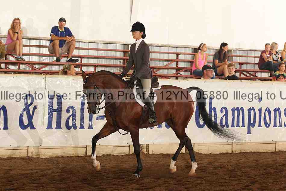 Proof 12yn_05880